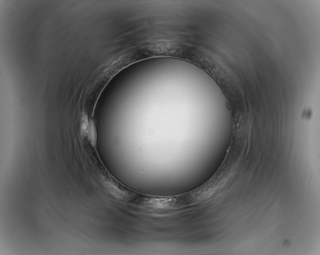 X0000098190089200805011134
