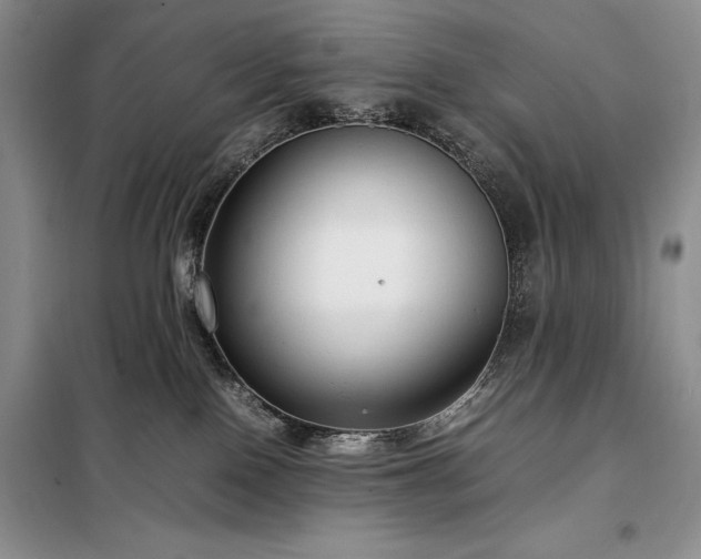 X0000098190090200805011134