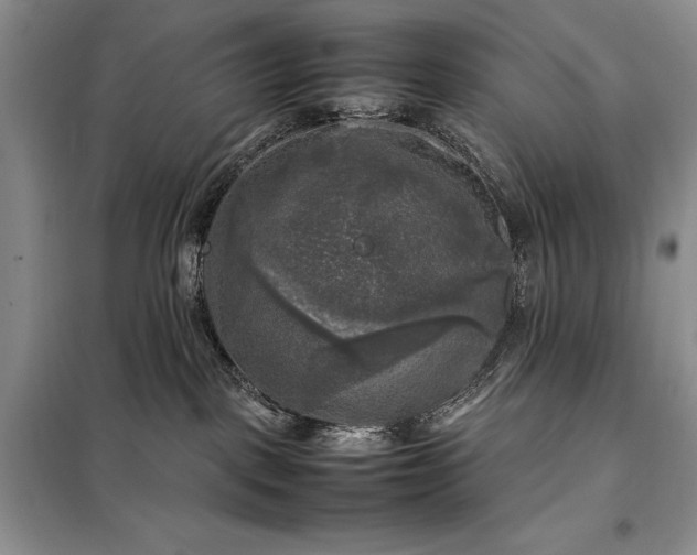 X0000098190093200805011134