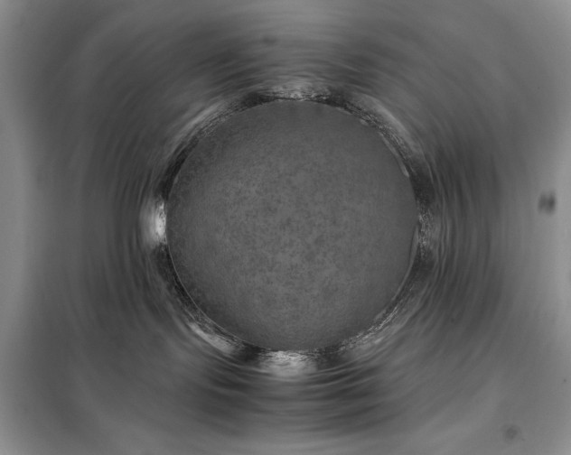 X0000098190095200805011134