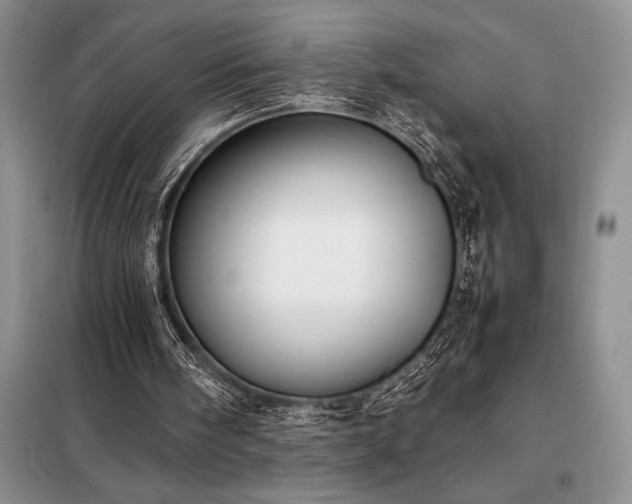 X0000098190098200805011133