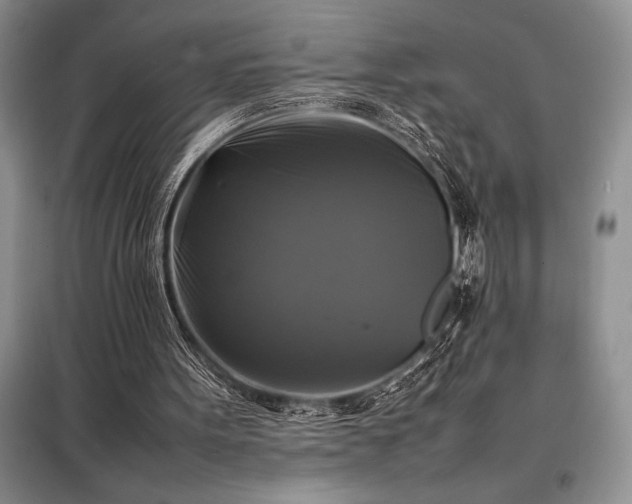 X0000098190099200805011133