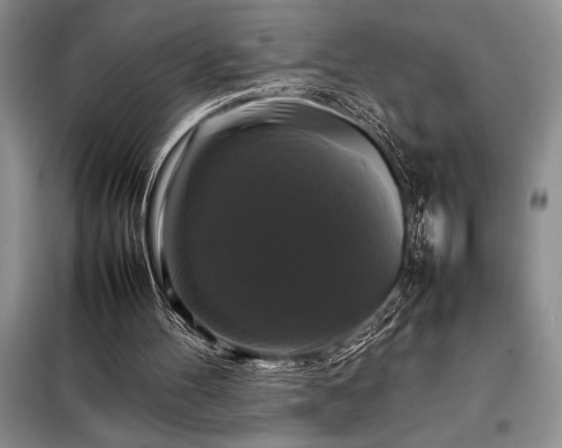 X0000098190100200805011133