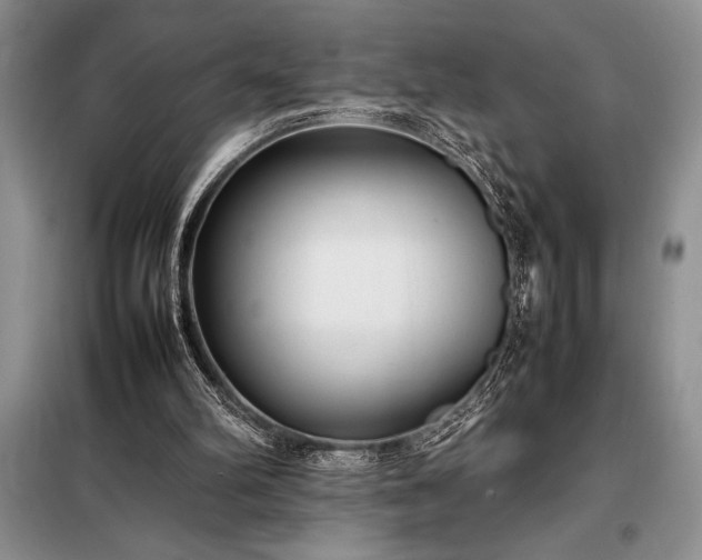 X0000098190102200805011133