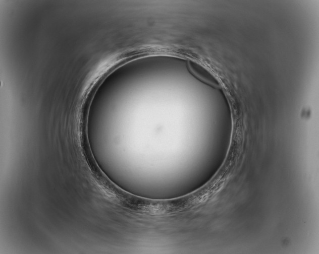X0000098190103200805011133