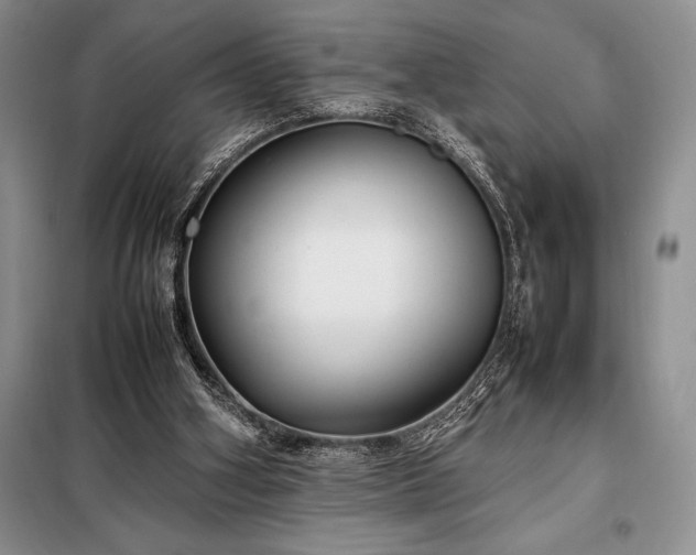 X0000098190106200805011133