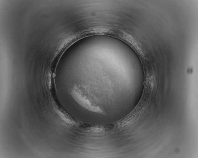 X0000098190110200805011133