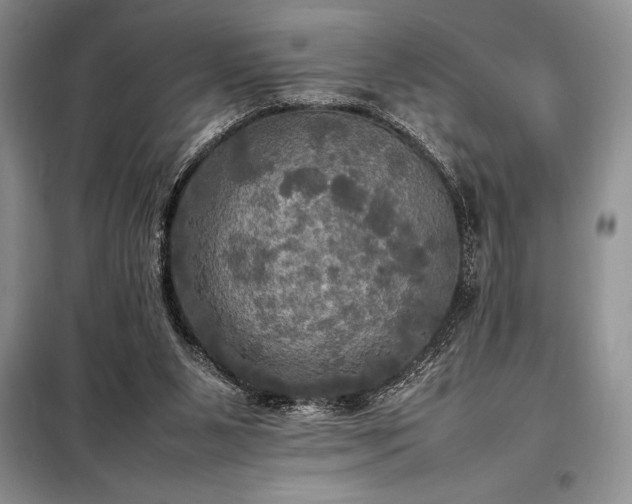 X0000098190111200805011133