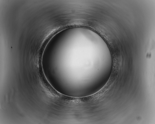 X0000098190112200805011133