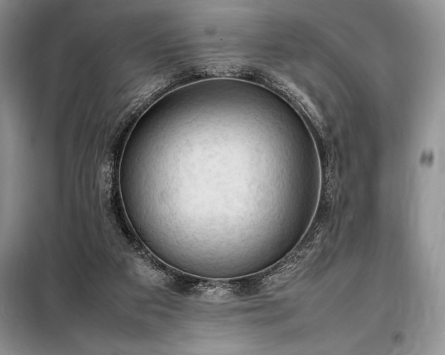X0000098190113200805011133