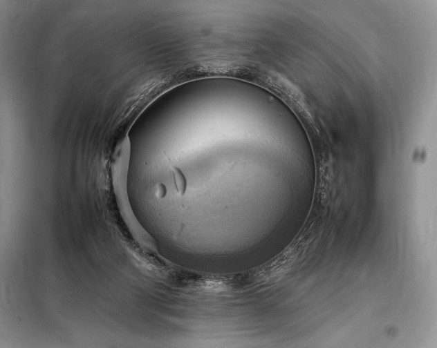 X0000098190114200805011133