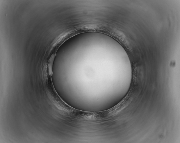 X0000098190116200805011133