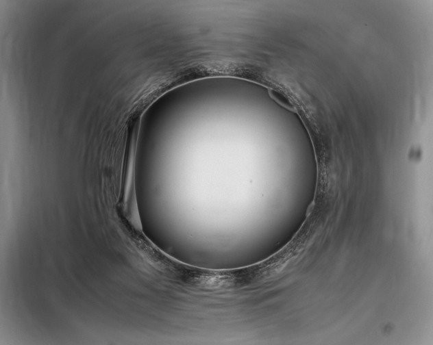 X0000098190117200805011133