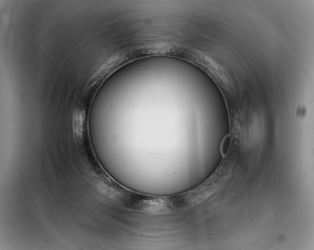 X0000098190118200805011133