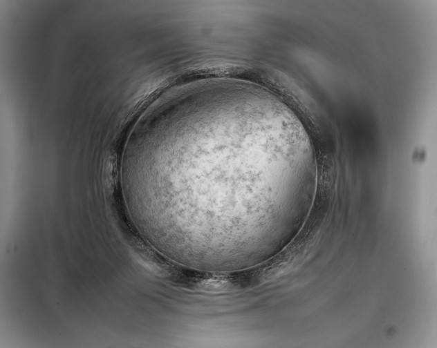X0000098190119200805011133