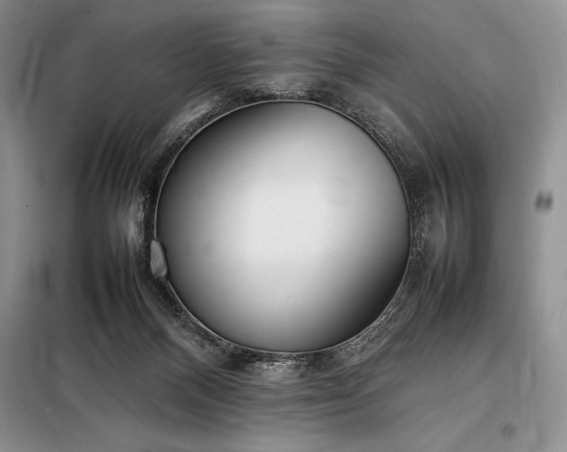 X0000098190120200805011133