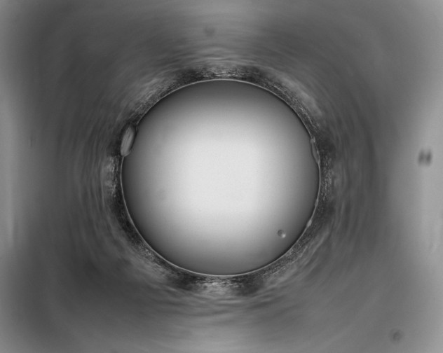X0000098190121200805011133