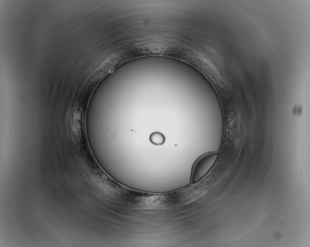 X0000098190122200805011133