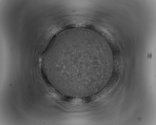 X0000098190123200805011133