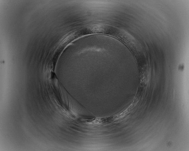X0000098190124200805011133