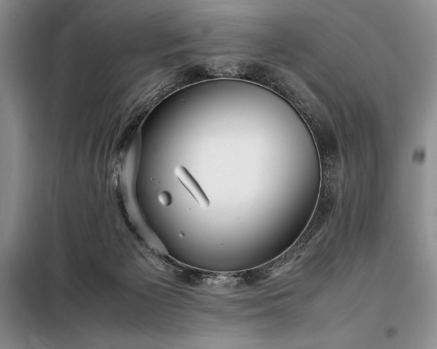 X0000098190125200805011133