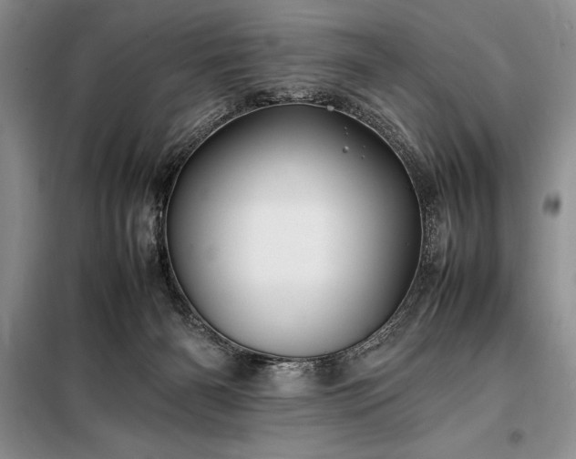 X0000098190126200805011133