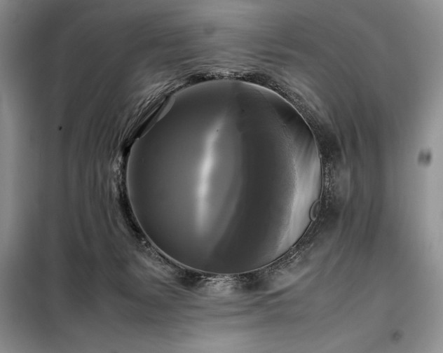 X0000098190127200805011133