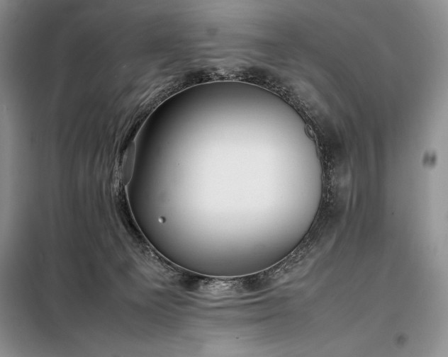 X0000098190129200805011133