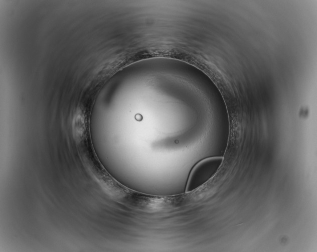 X0000098190130200805011133