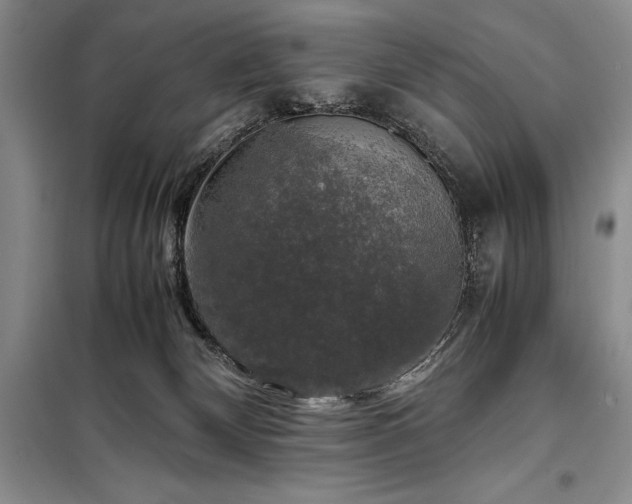 X0000098190132200805011133