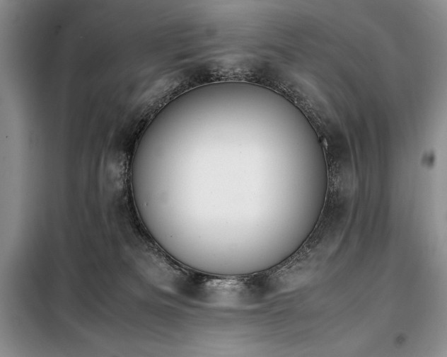 X0000098190133200805011132