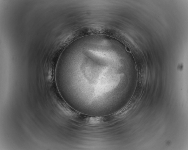 X0000098190134200805011132