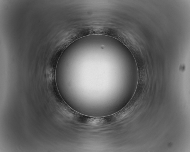 X0000098190135200805011132