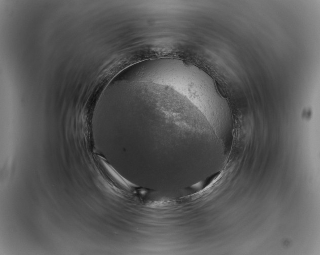 X0000098190136200805011132