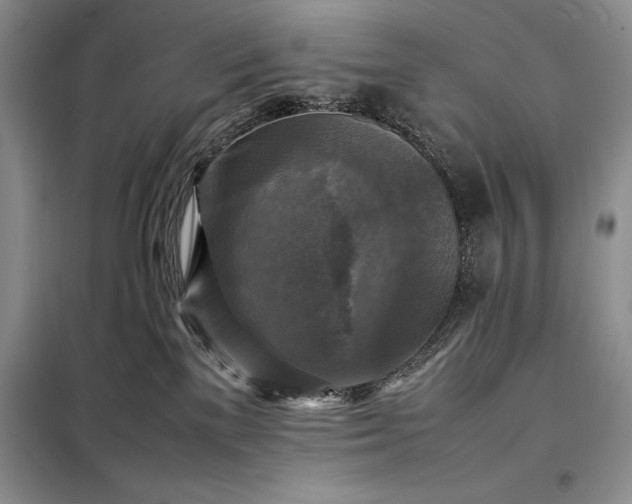 X0000098190137200805011132