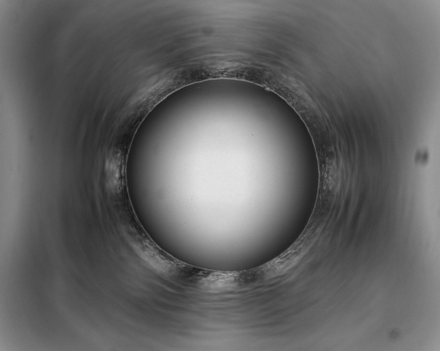 X0000098190138200805011132