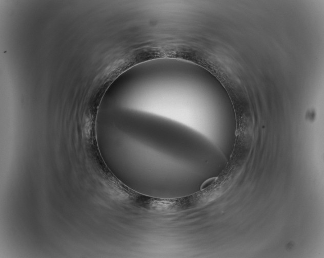 X0000098190139200805011132