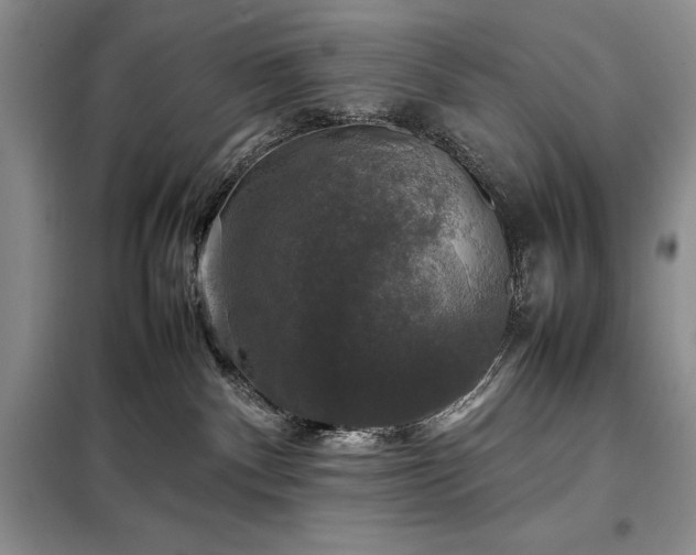 X0000098190140200805011132