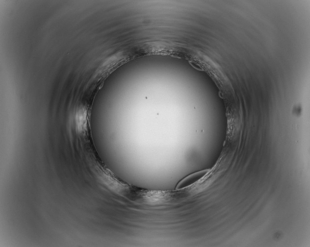 X0000098190142200805011132