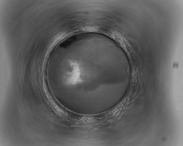 X0000098190145200805011131