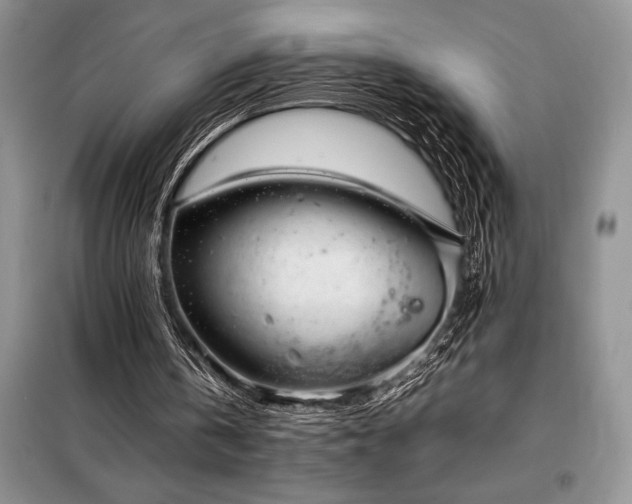 X0000098190146200805011131