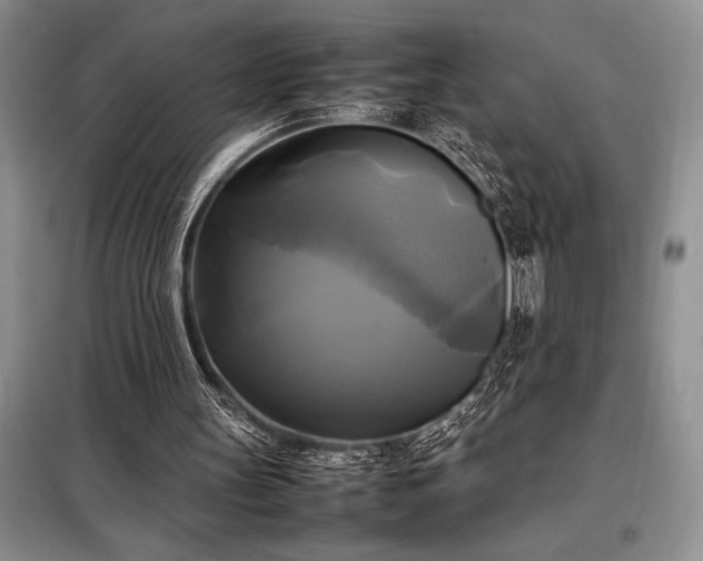 X0000098190147200805011131