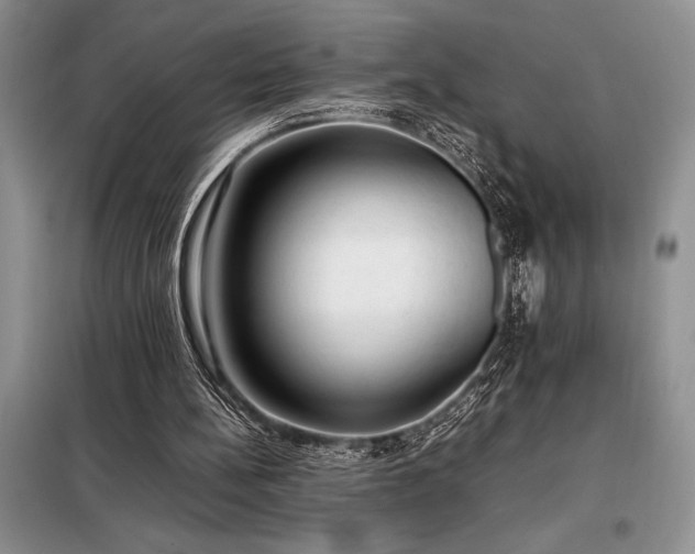 X0000098190148200805011131