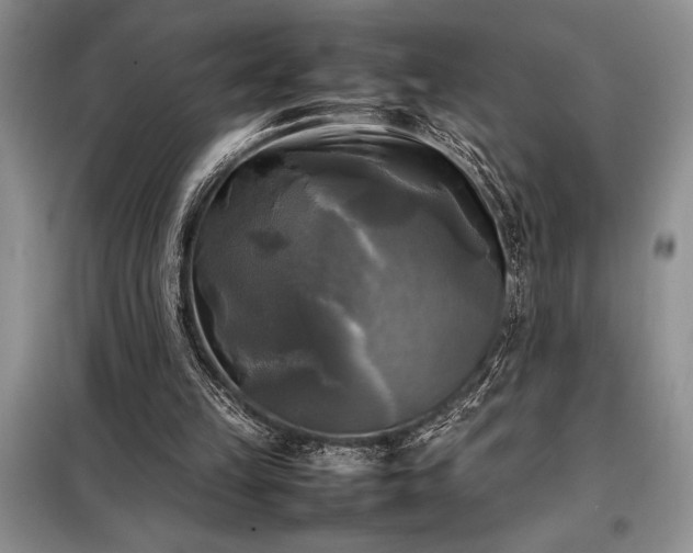X0000098190149200805011131