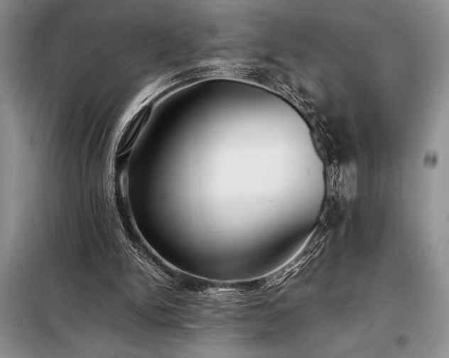 X0000098190150200805011131