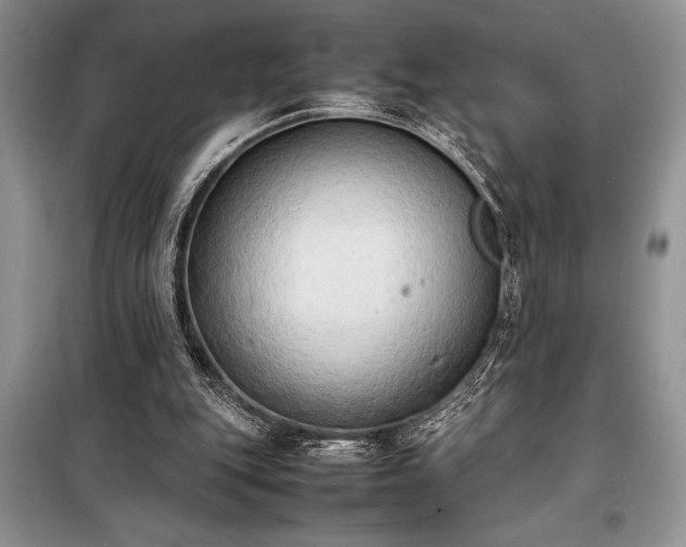 X0000098190151200805011131