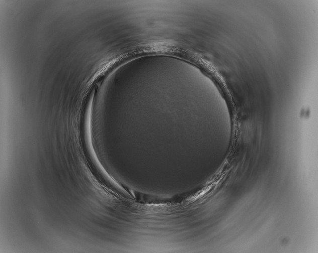 X0000098190154200805011132