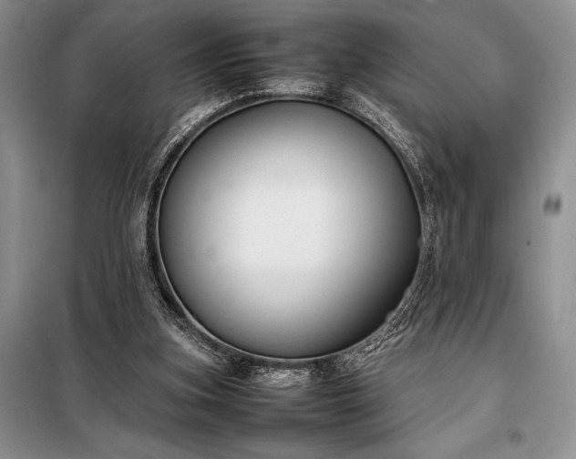 X0000098190155200805011132