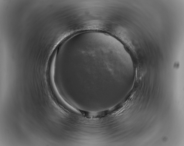 X0000098190156200805011132