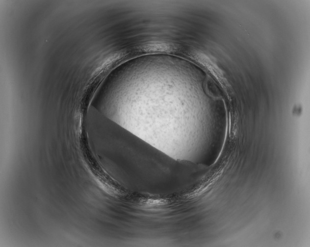 X0000098190157200805011132